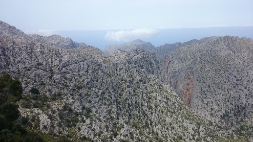 DSC_0230.JPG